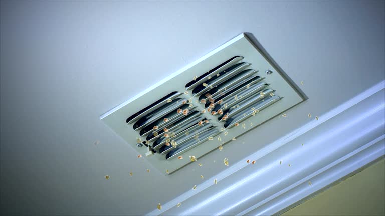 Best Ductwork Cleaning Services  in Thomas, OK